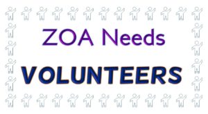 volunteers-301